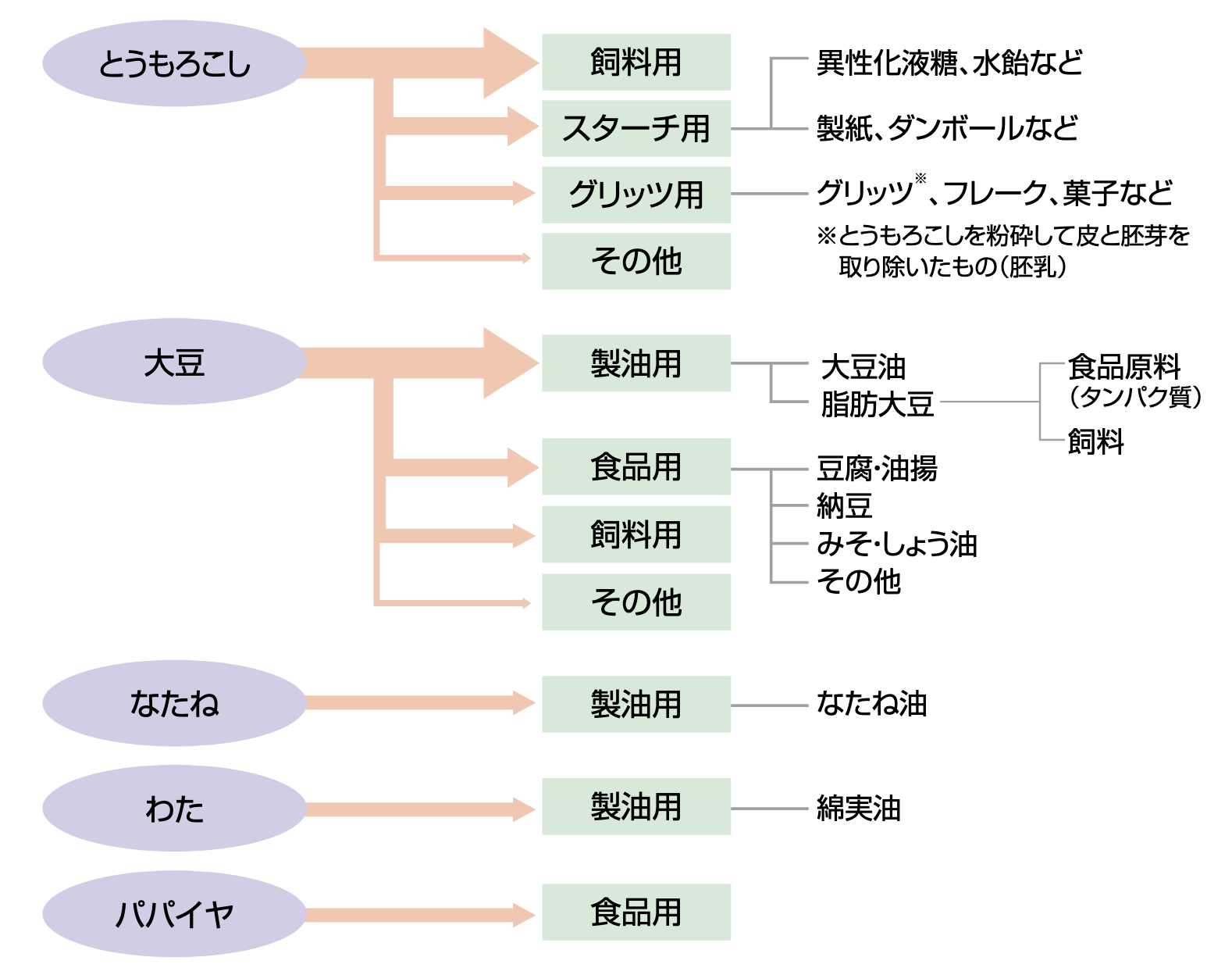 遺伝子組換え食品の用途